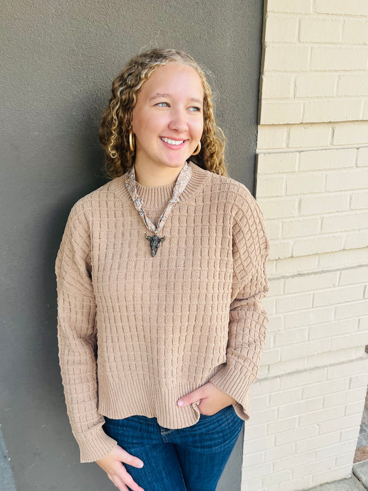 Oversized Textured Solid Knit Sweater - Mocha