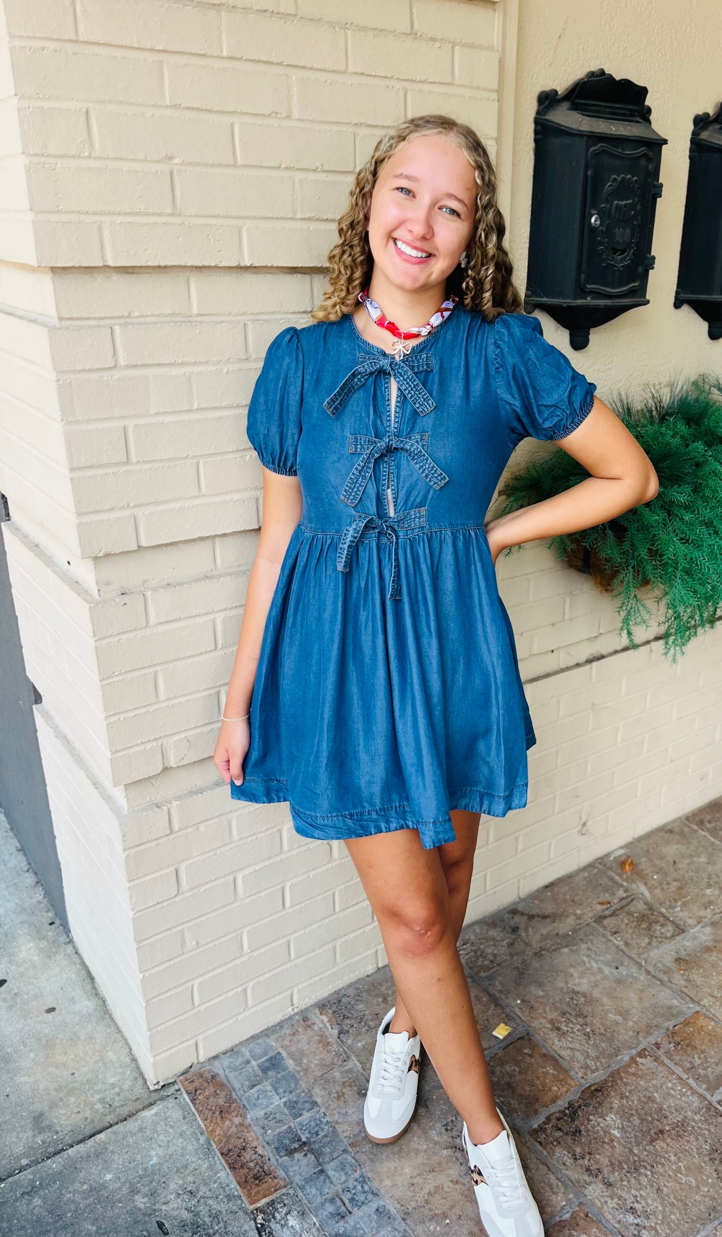 Chambray Front Tie Puff Sleeve Dress