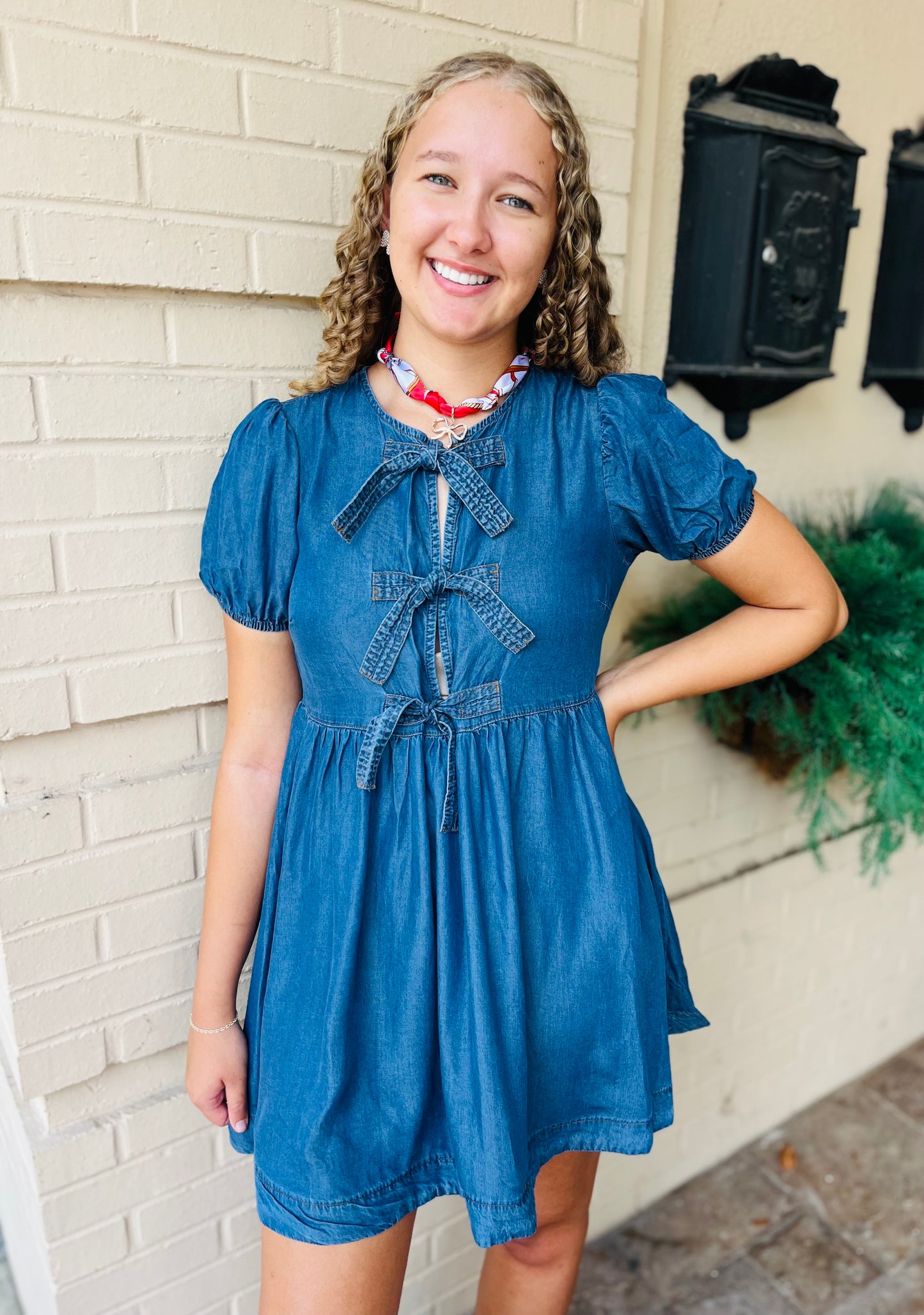 Chambray Front Tie Puff Sleeve Dress