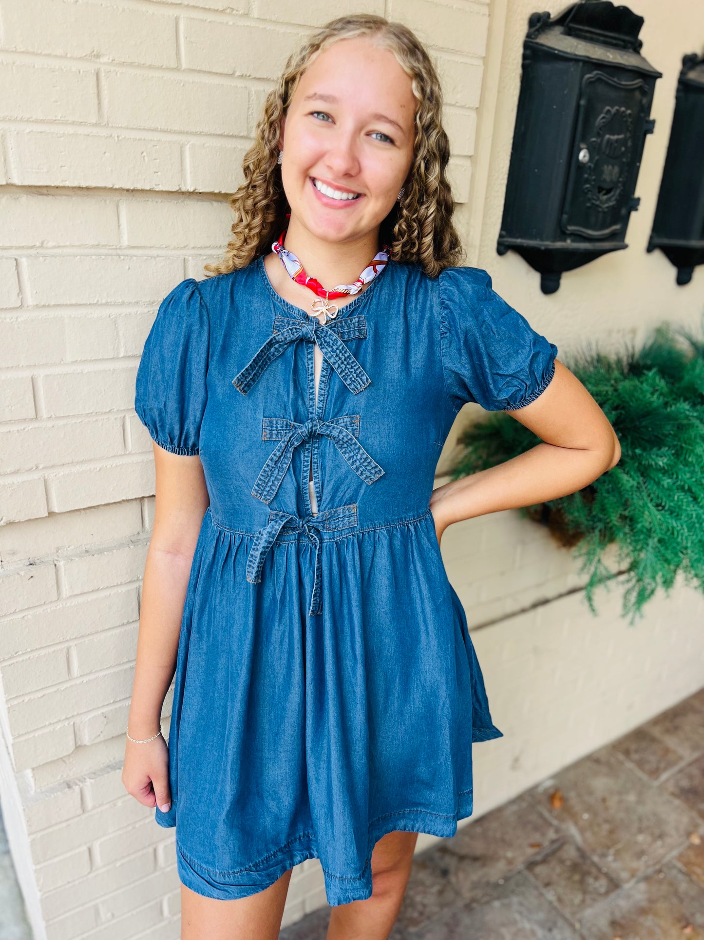 Chambray Front Tie Puff Sleeve Dress