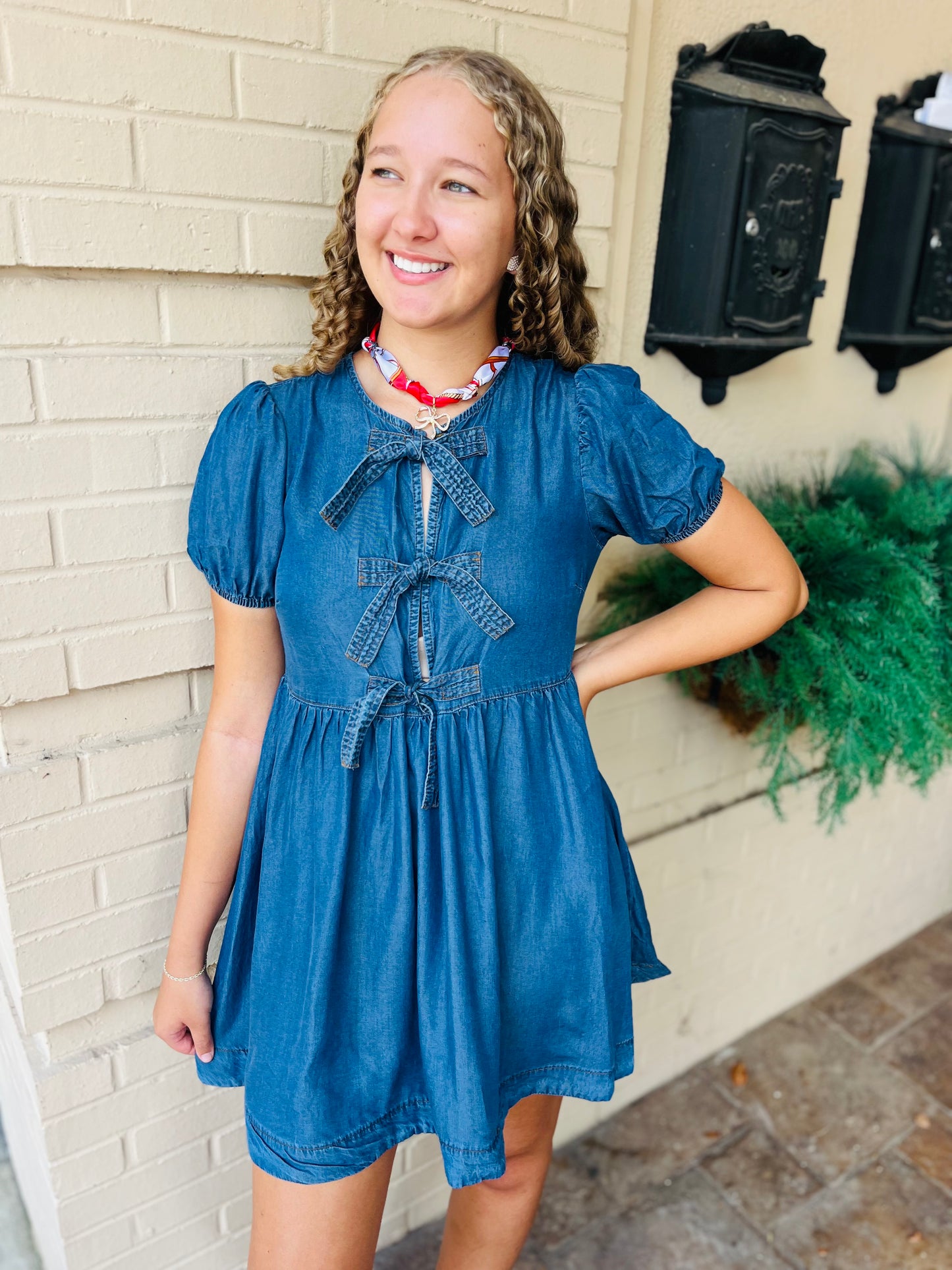 Chambray Front Tie Puff Sleeve Dress