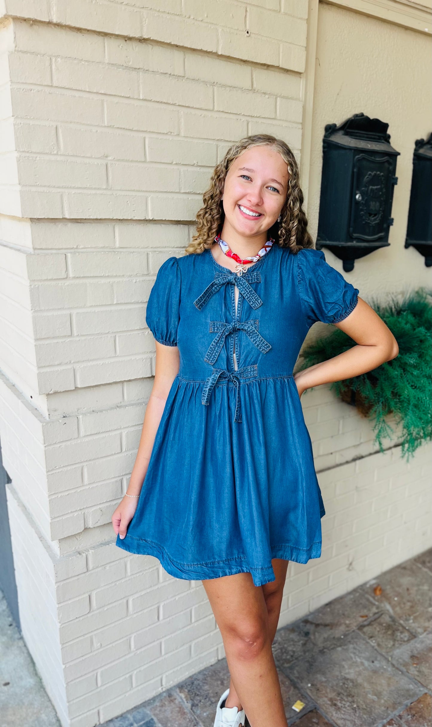 Chambray Front Tie Puff Sleeve Dress