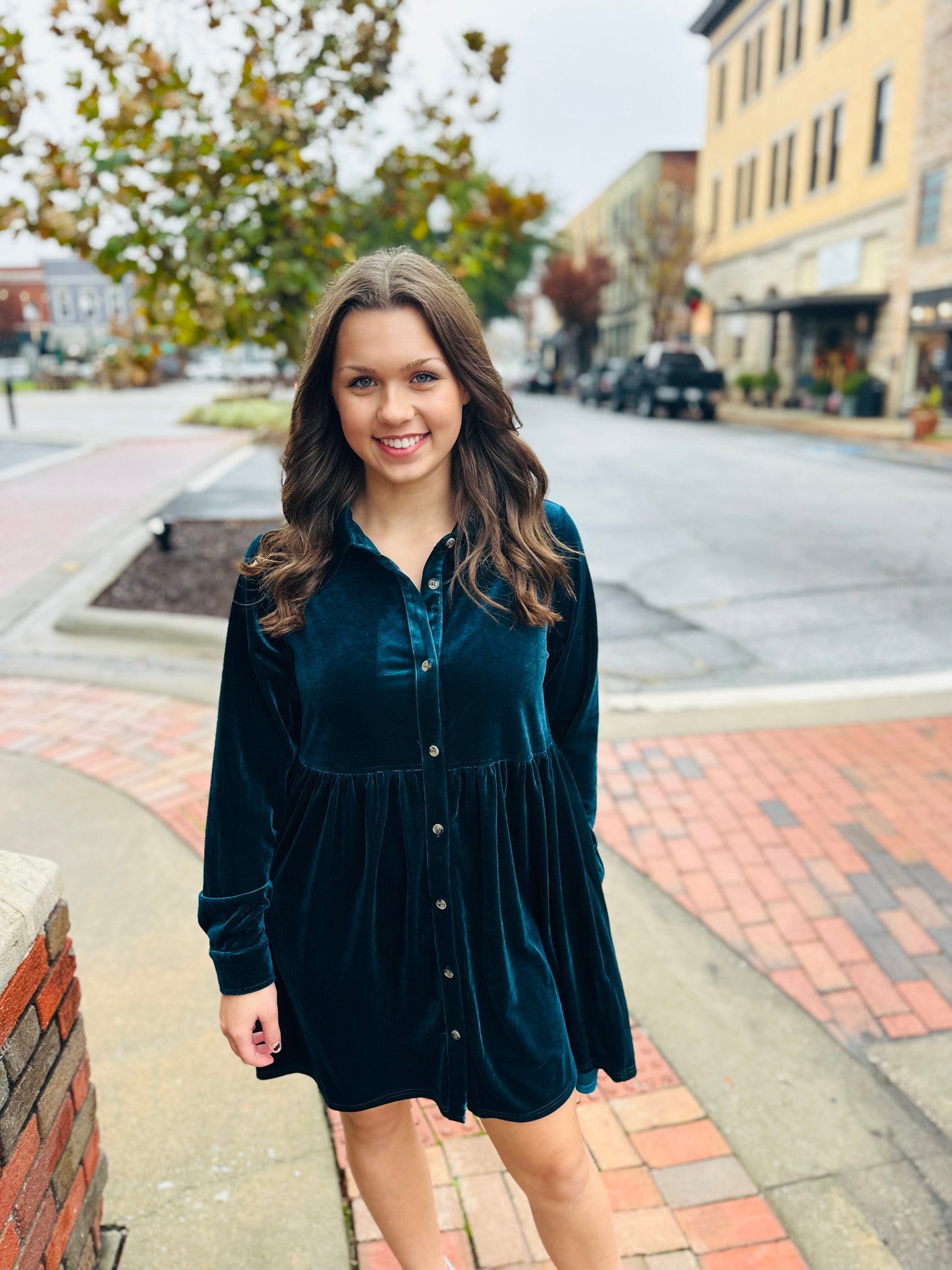 Autumn Splendor Teal Velvet Dress