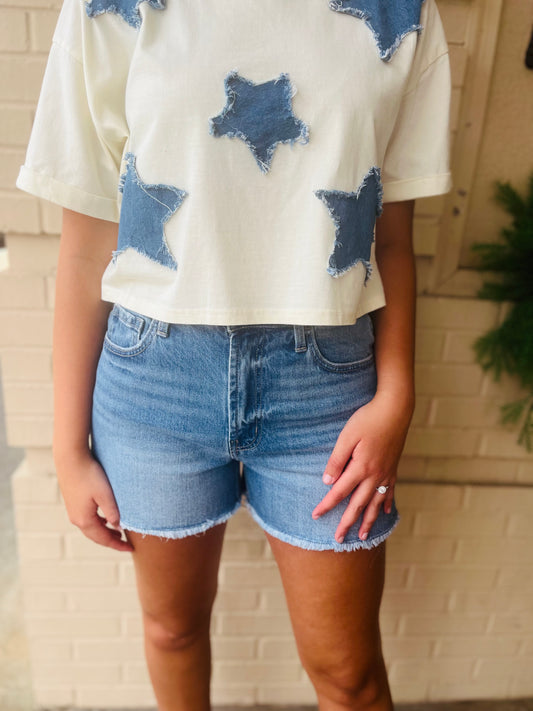 Vervet High Rise Denim Shorts