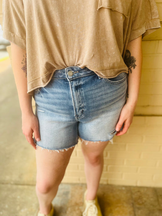 Vervet High Rise Denim Shorts