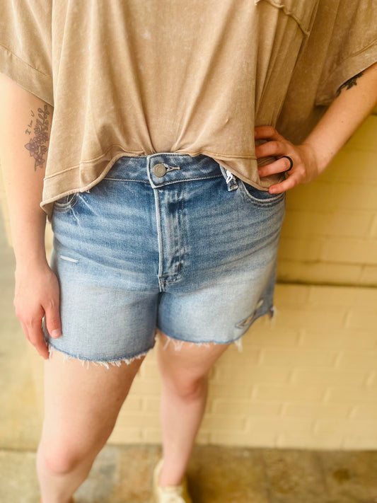 Vervet High Rise Denim Shorts