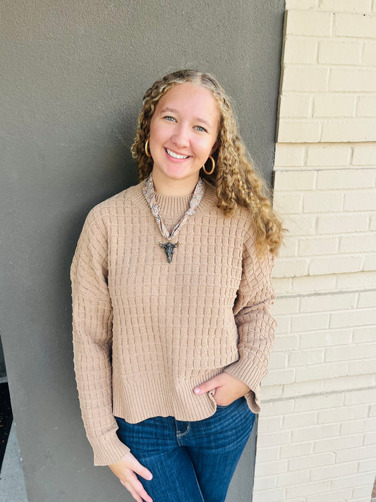 Oversized Textured Solid Knit Sweater - Mocha