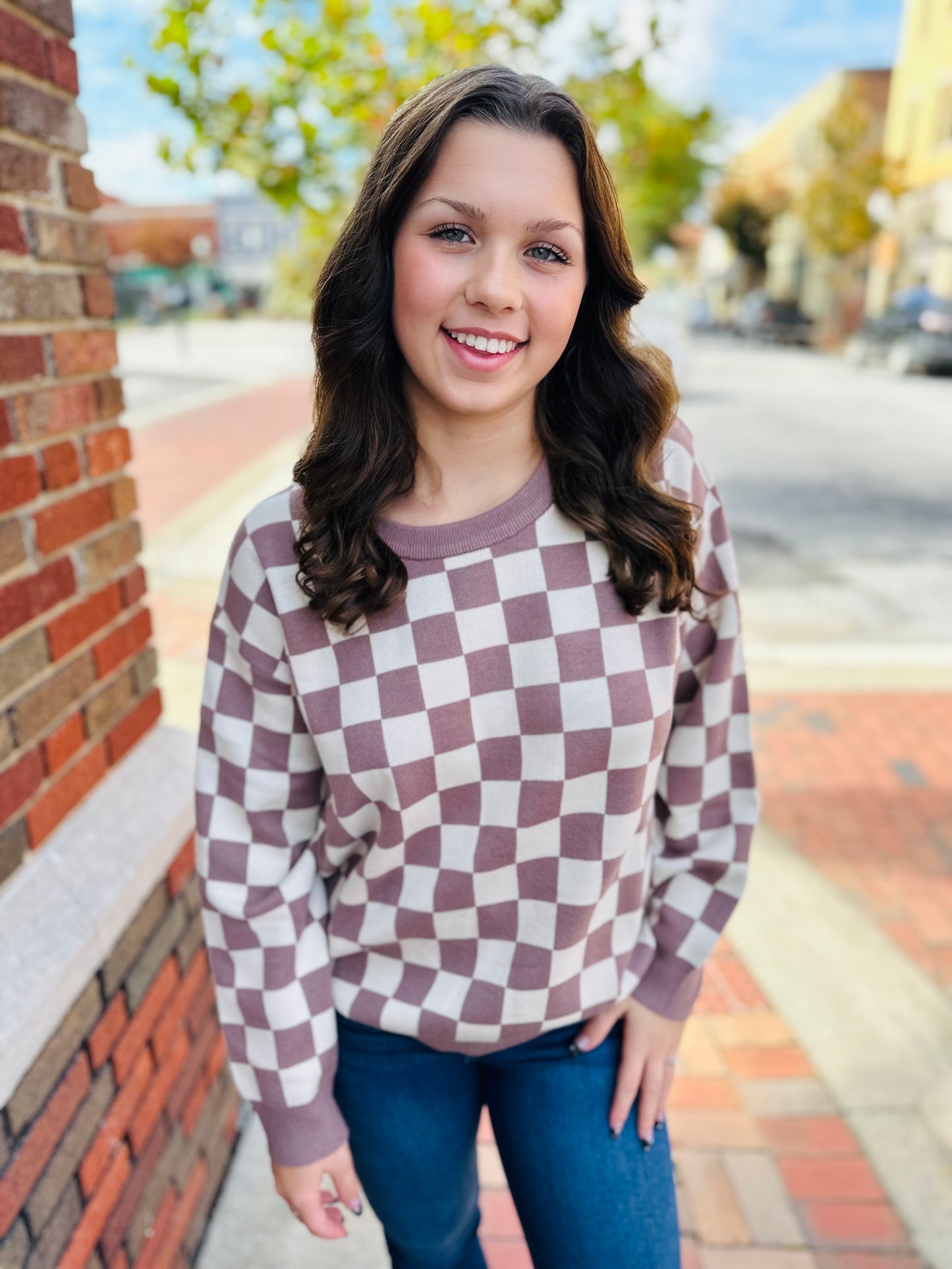 Checkered Comfort Pullover Sweater